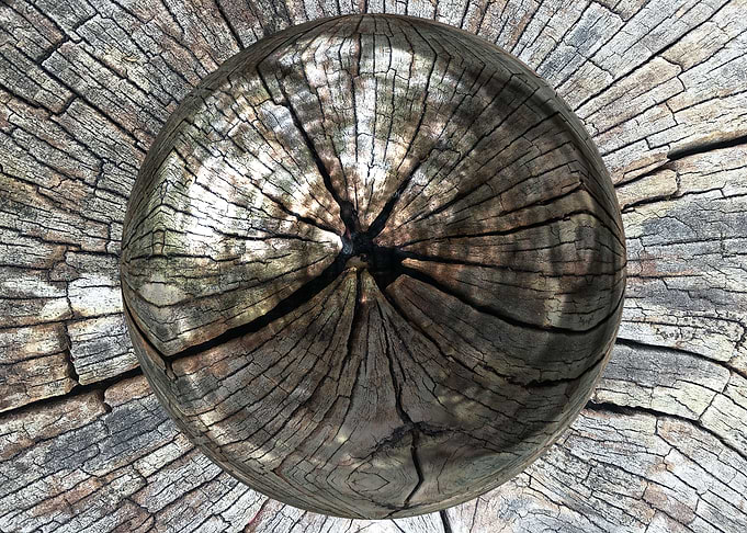 Wood pattern 3d