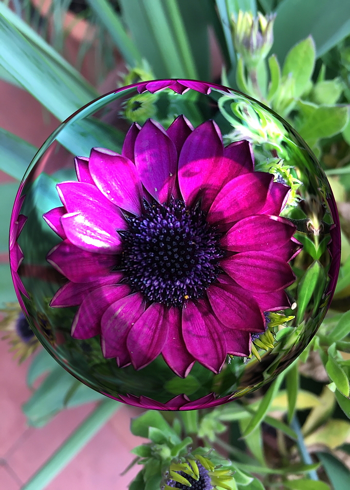 Flower in the middle