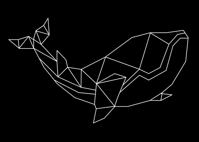 linear whale