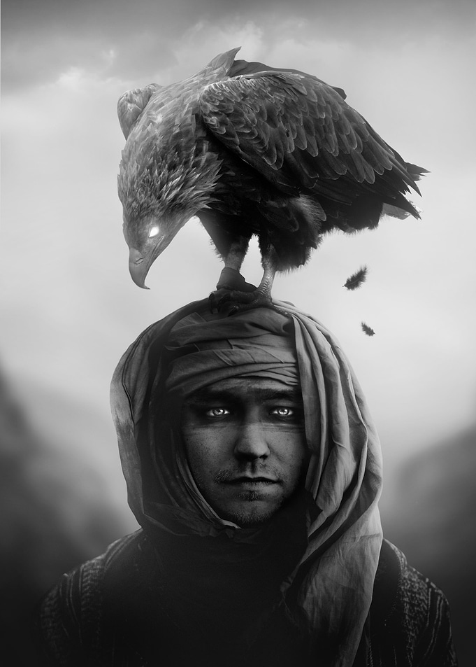 Eagle Companion