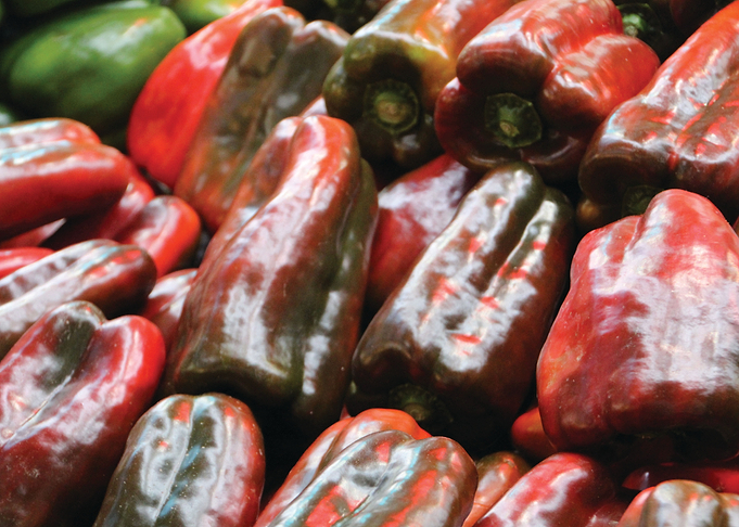 Pepper market