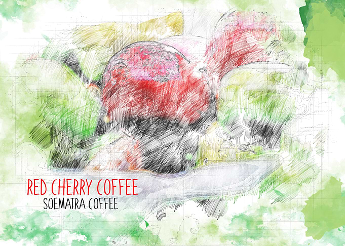 Red Cherry Coffee
