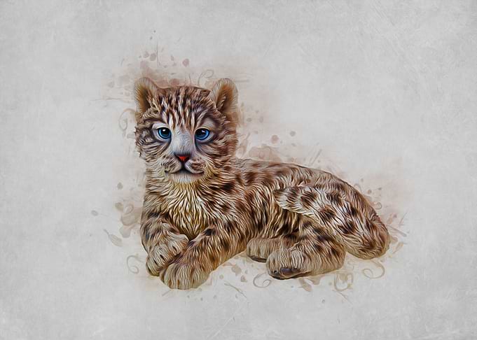 Snow Leopard