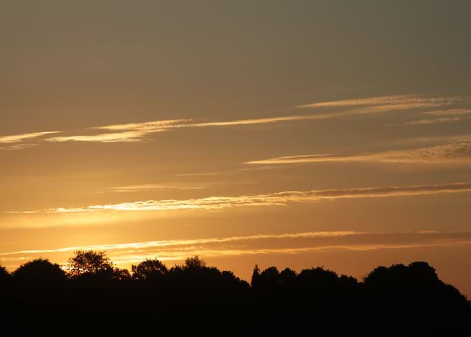 Morning Sun