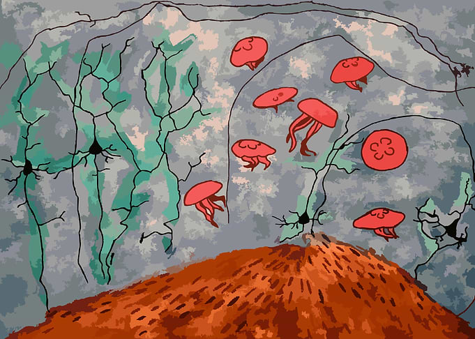 Entorhinal Ocean