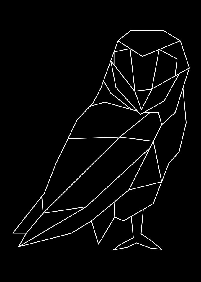 linear owl