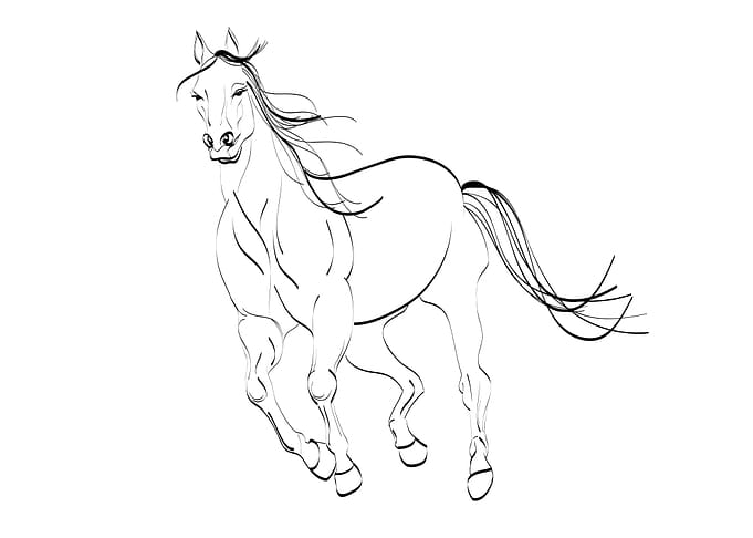 Horse