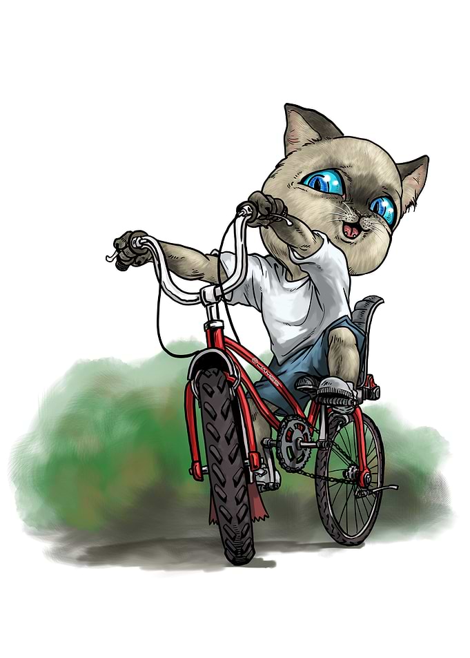 First time cycling