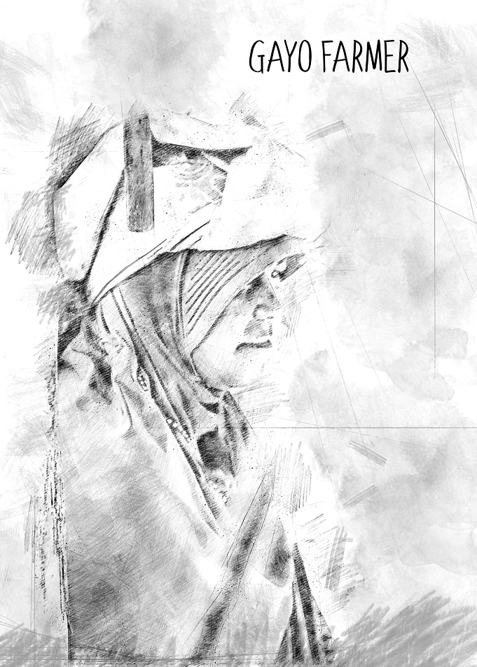 Gayo Highland Farmer