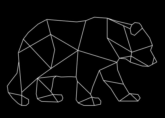 linear bear