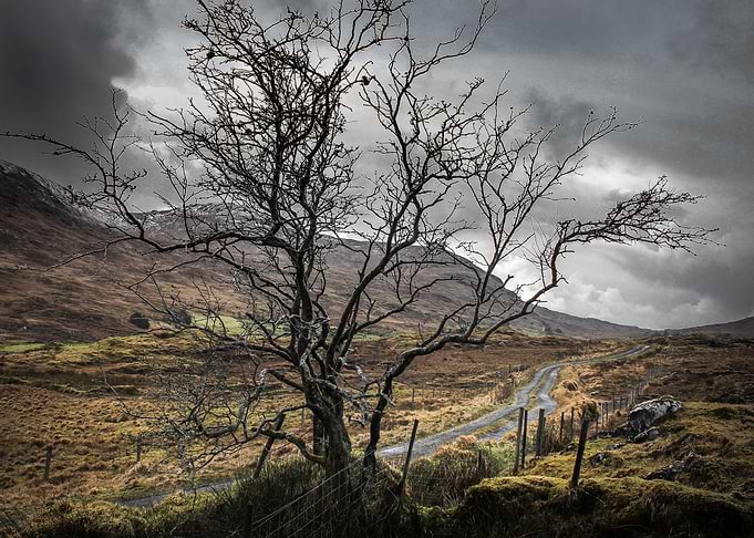 irish landscape