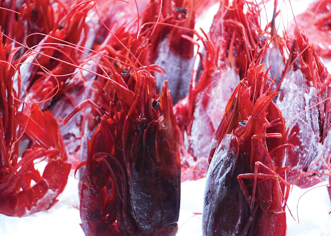 Prawns market