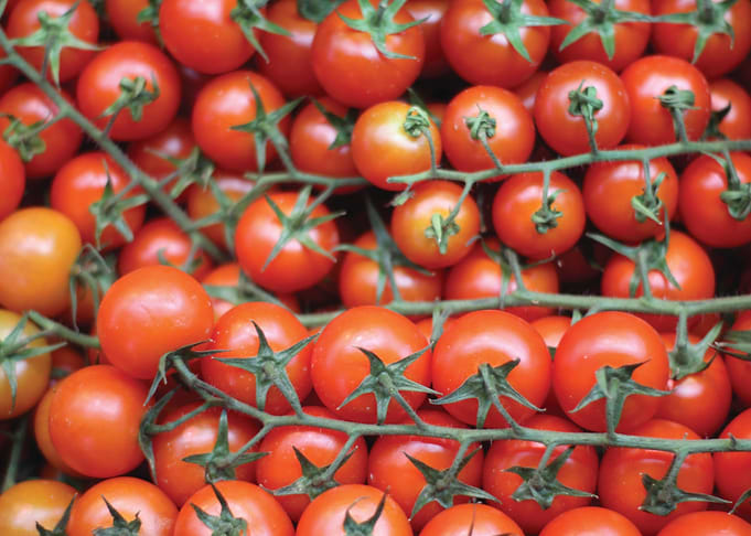 Tomatoes market