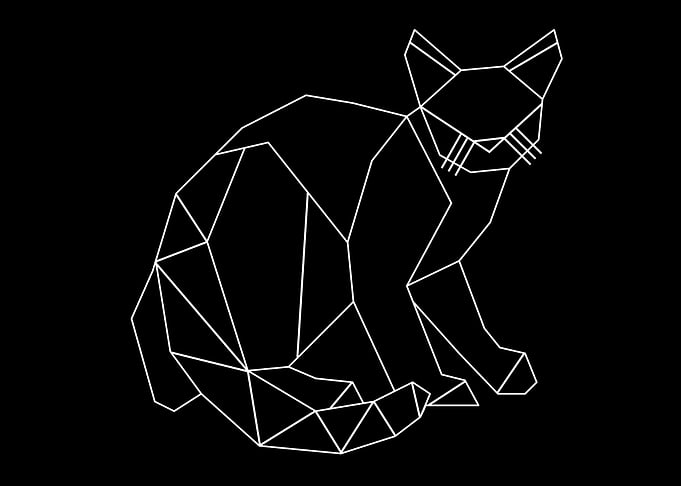 linear cat