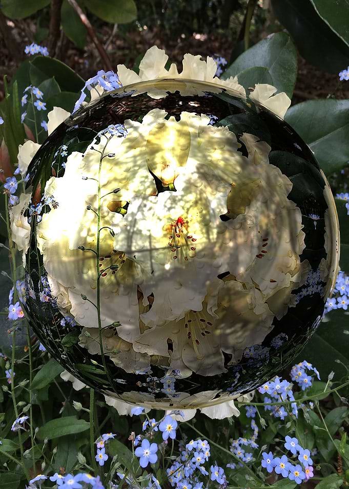 3d flower