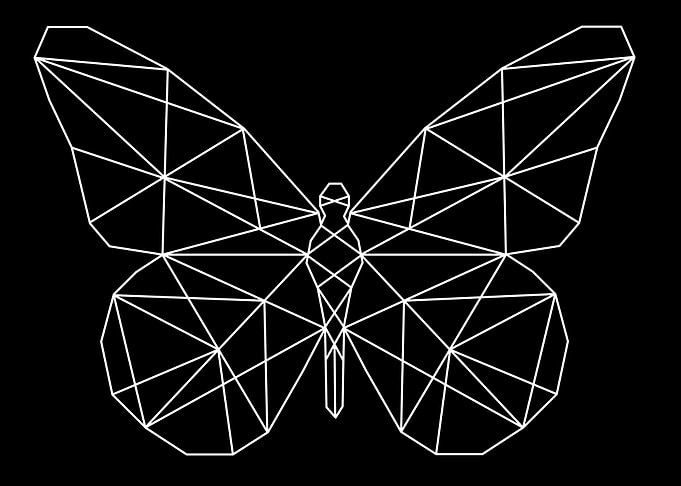 linear butterfly