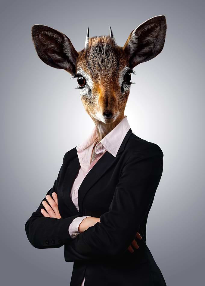 Doe