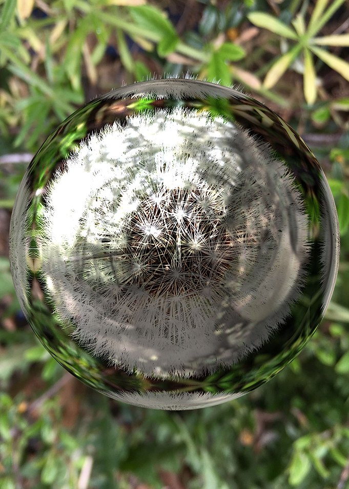 Floral spherical