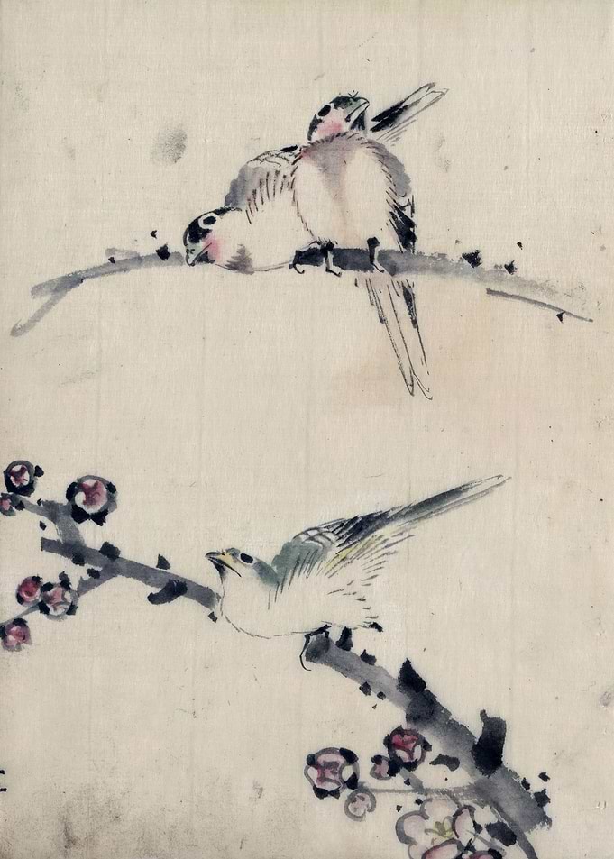 Three Birds