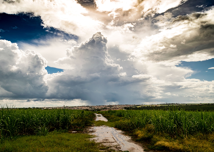 Rural landscape with sky