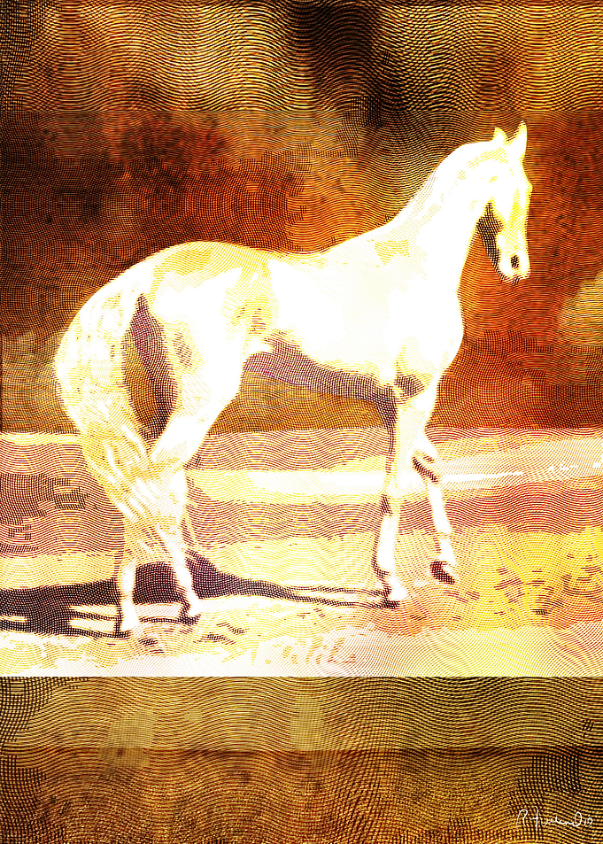 Horse at the Beach