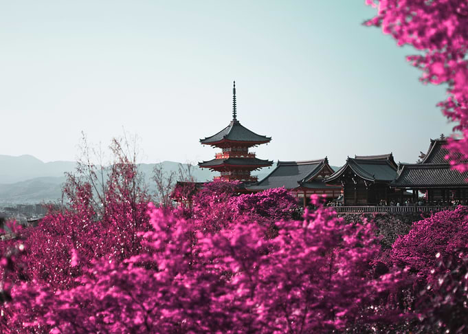 Kiyomizudera infrared