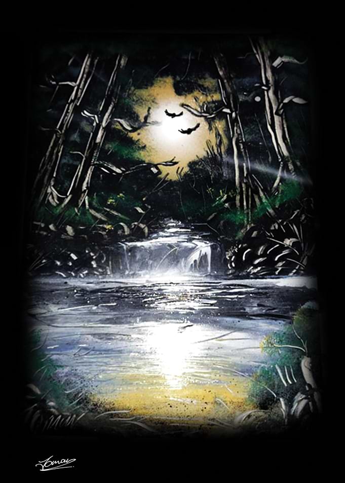 Forest Light