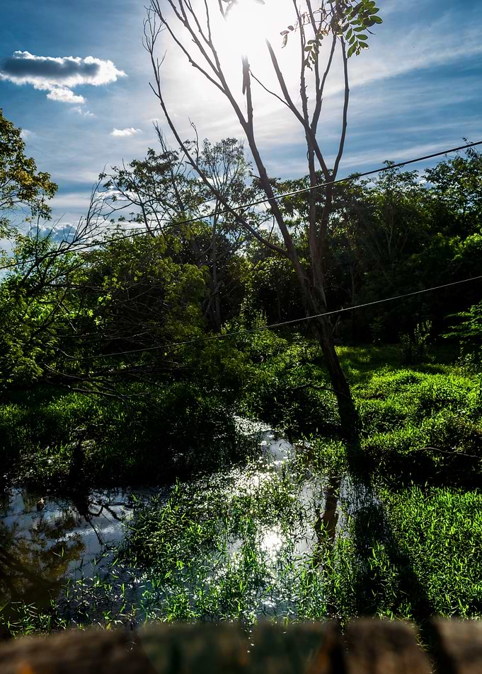 Rural scenary Brazil