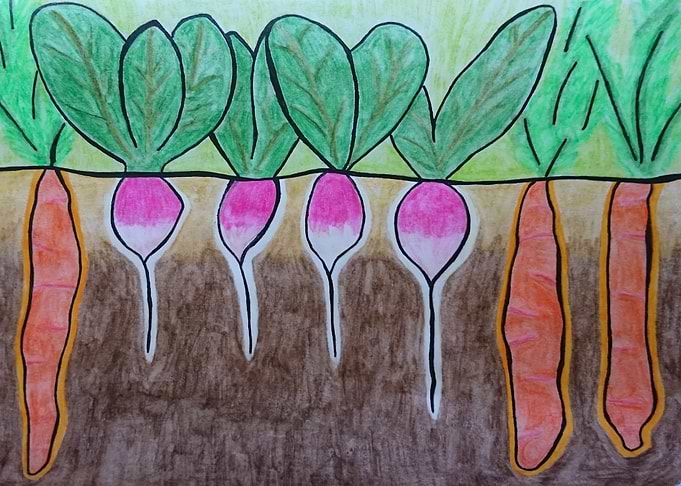 Roots to eat