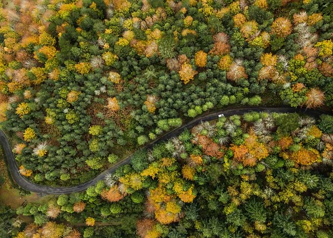 Summer and autumn