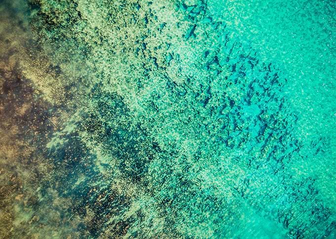 Turquoise ocean
