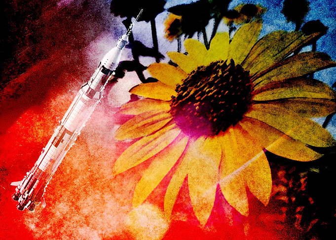 Apollo 11 and Sunflower