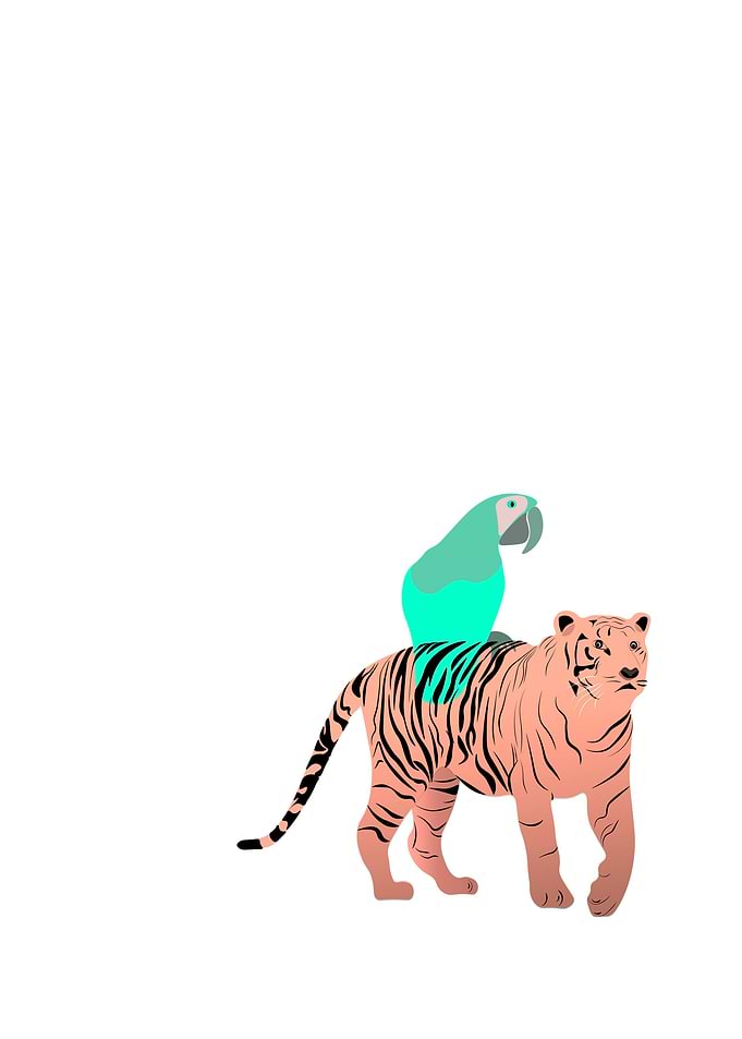 TIGER AND PARROT