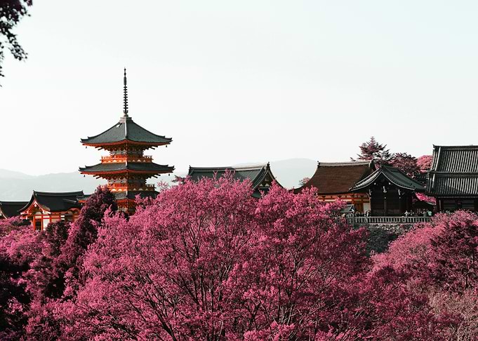 Kiyomizudera infrared