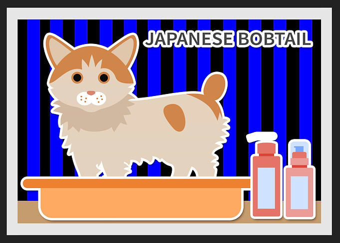 japanese bobtail