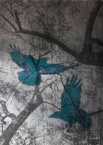 Crows
