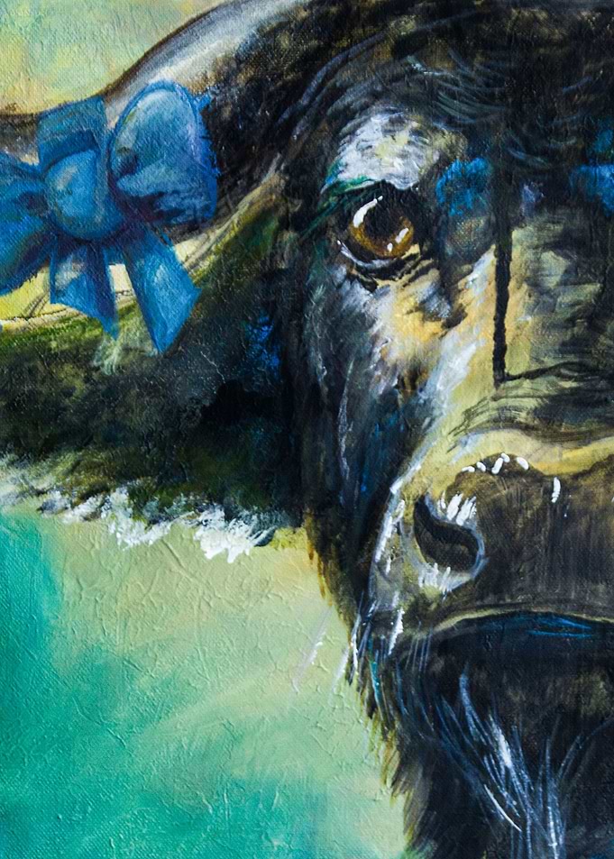 African Buffalo