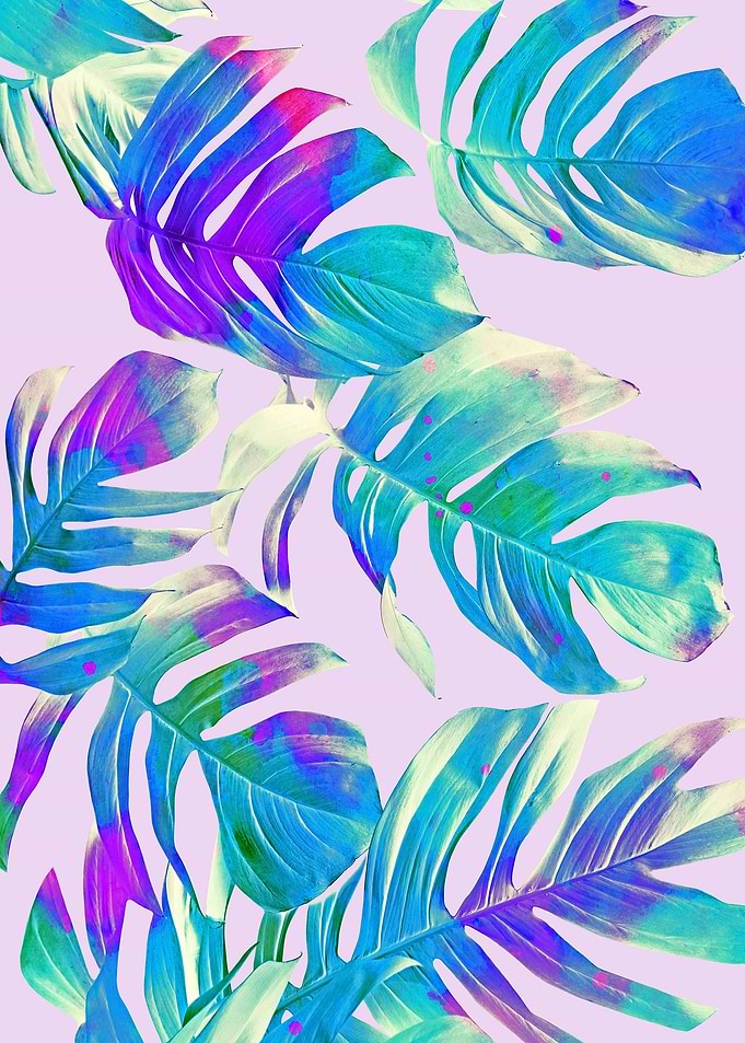 Monstera Leaves