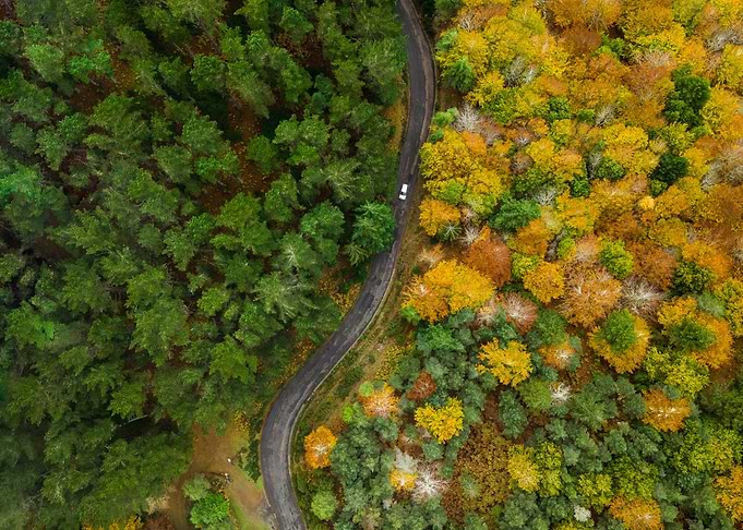 Summer and autumn