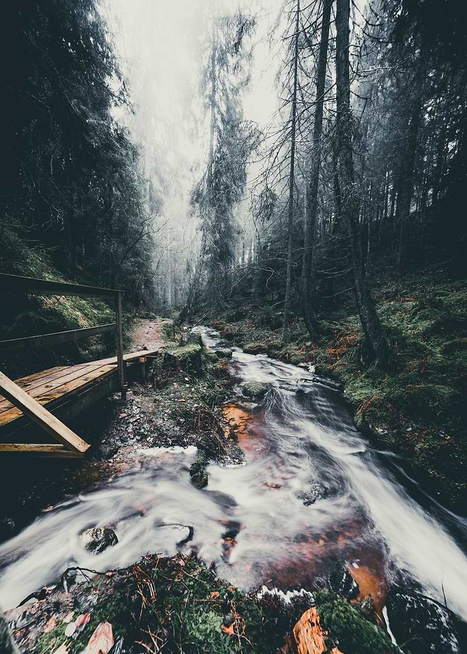 Foggy Feelings Vol5