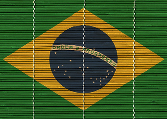 Bamboo Brazilian Flag