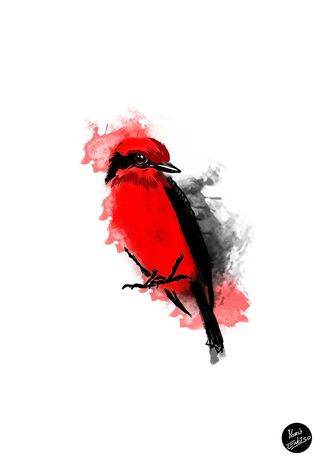 Redrobin black and color
