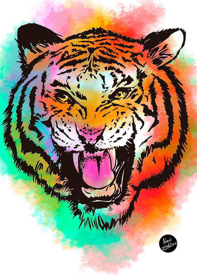 Tiger black and color