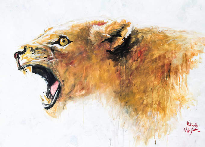 Wild Cat