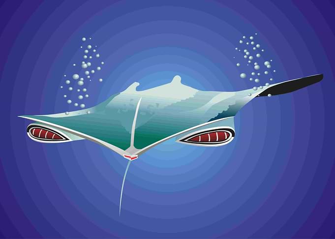 59 MANTA RAY