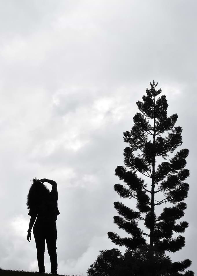 SHAPE OF A TREE