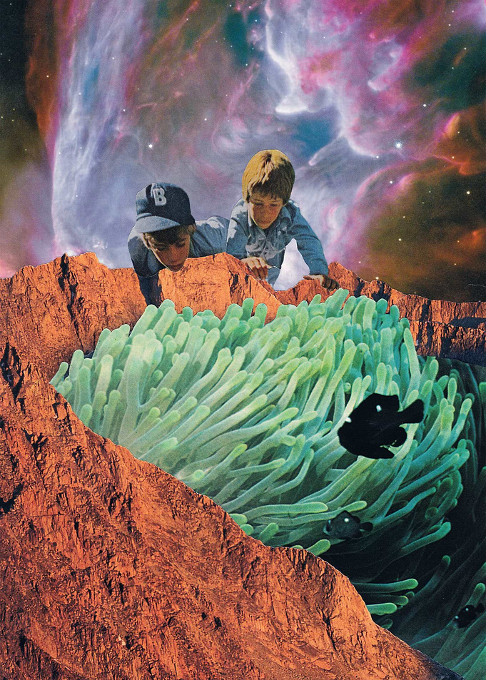 Blackfish [collage]
