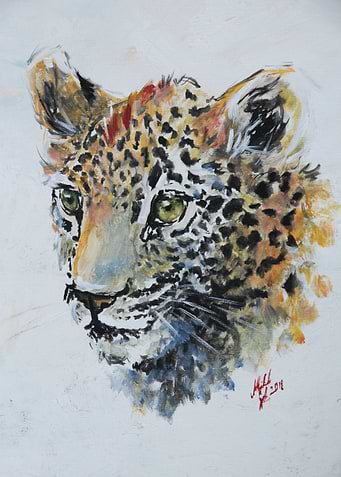 Little Leopard