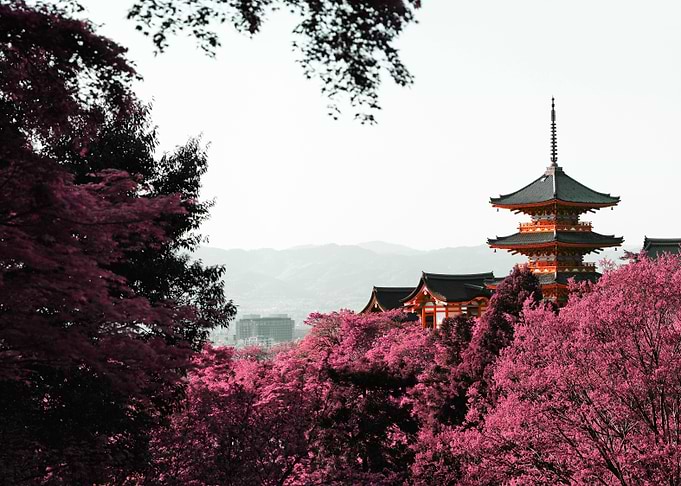 Kiyomizudera infrared