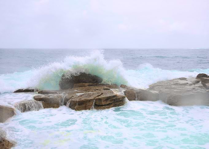 Wild waves